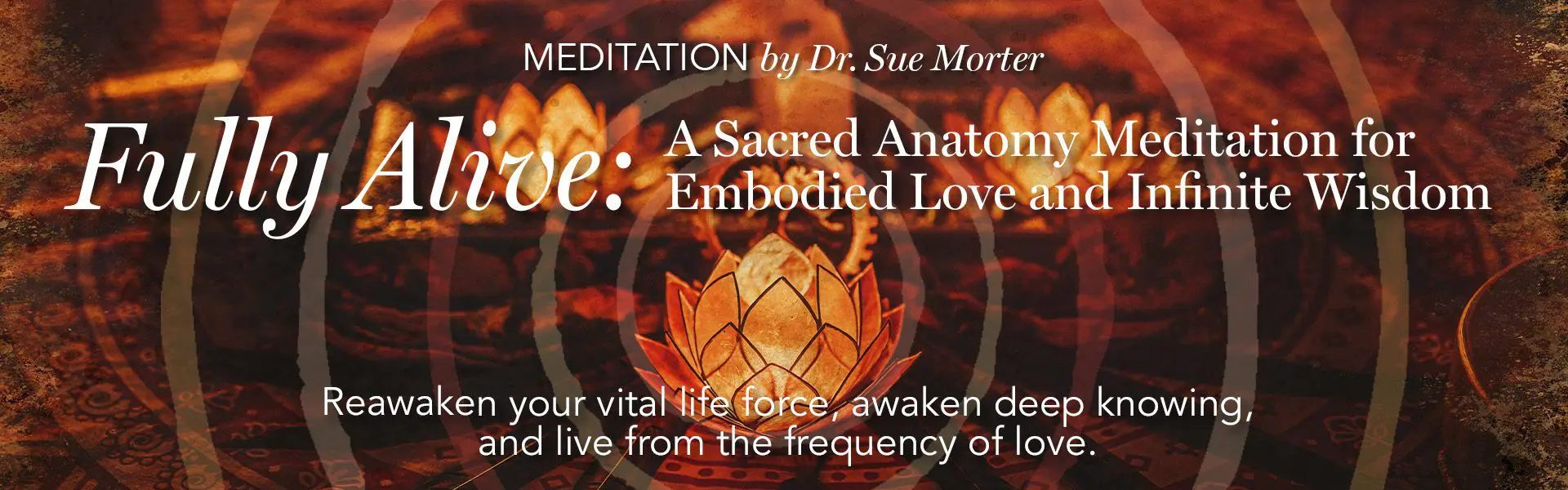 ANAT-Book-FreeMed-26_1920x600-Header