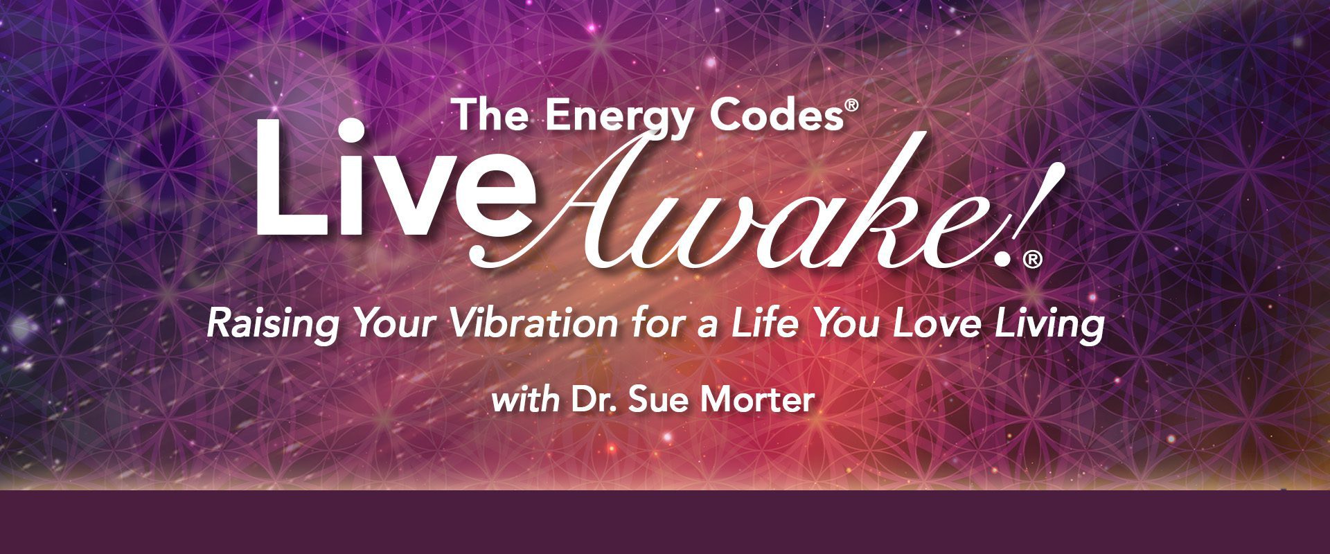 LiveAwake - Waitlist - Morter Institute
